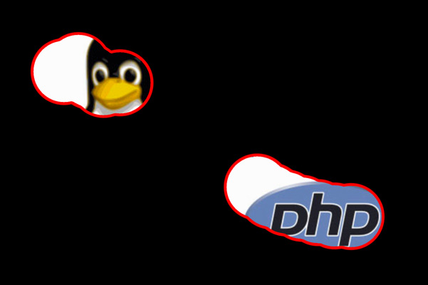 partially revealed image of a penguin and PHP